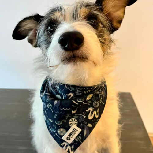 PAWFECT VIKING - Dog Cat BANDANA