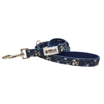 PAWFECT VIKING - Dog Cat LEAD LEASH