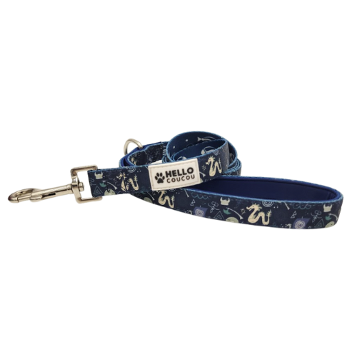 PAWFECT VIKING - Dog Cat LEAD LEASH