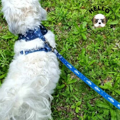 PAWFECT VIKING - Dog Cat LEAD LEASH