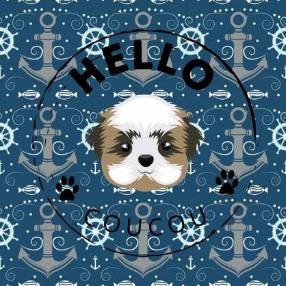 PAWFECT VIKING - Dual Lead SPLIT LEAD DOUBLE SIDED