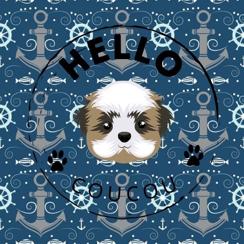 PAWFECT VIKING - Dual Lead SPLIT LEAD DOUBLE SIDED