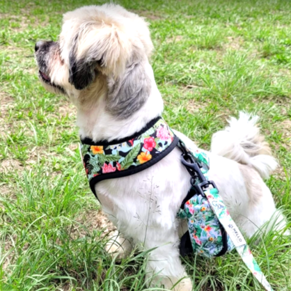 KARMA CHAMELEON - Dog Cat POOP BAG DISPENSER