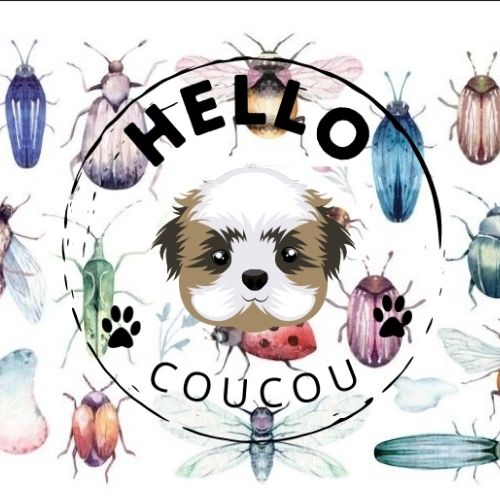 BUG OUT & ABOUT - Portable Dog - Cat Water Food Bowl TRAVEL or WALK Collapsible
