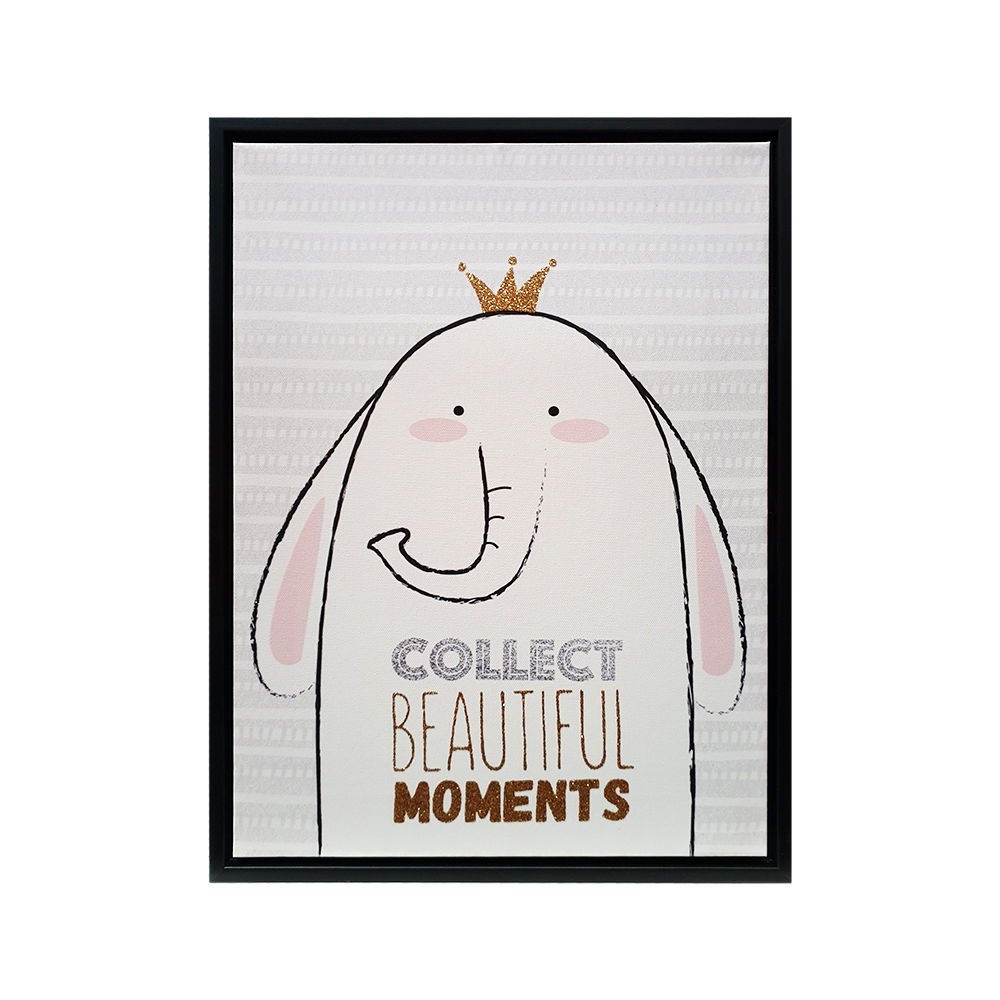 COLLECT BEAUTIFUL MOMENTS