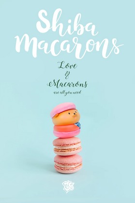 Shiba Macarons Blind Box(6pcs/set)