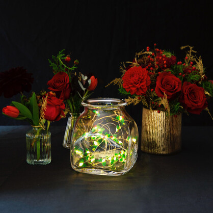 Botanical Holly String Lights 3M