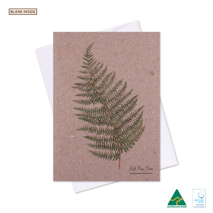 Botanical Soft Tree Fern Greeting Card Pk 6