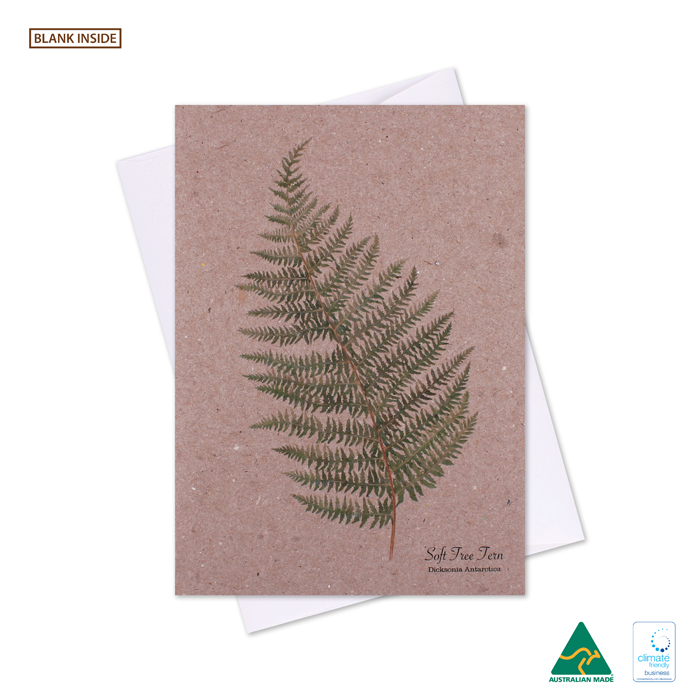 Botanical Soft Tree Fern Greeting Card Pk 6