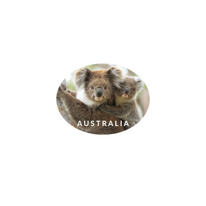 Sticker Vinyl Oval 12 Koala