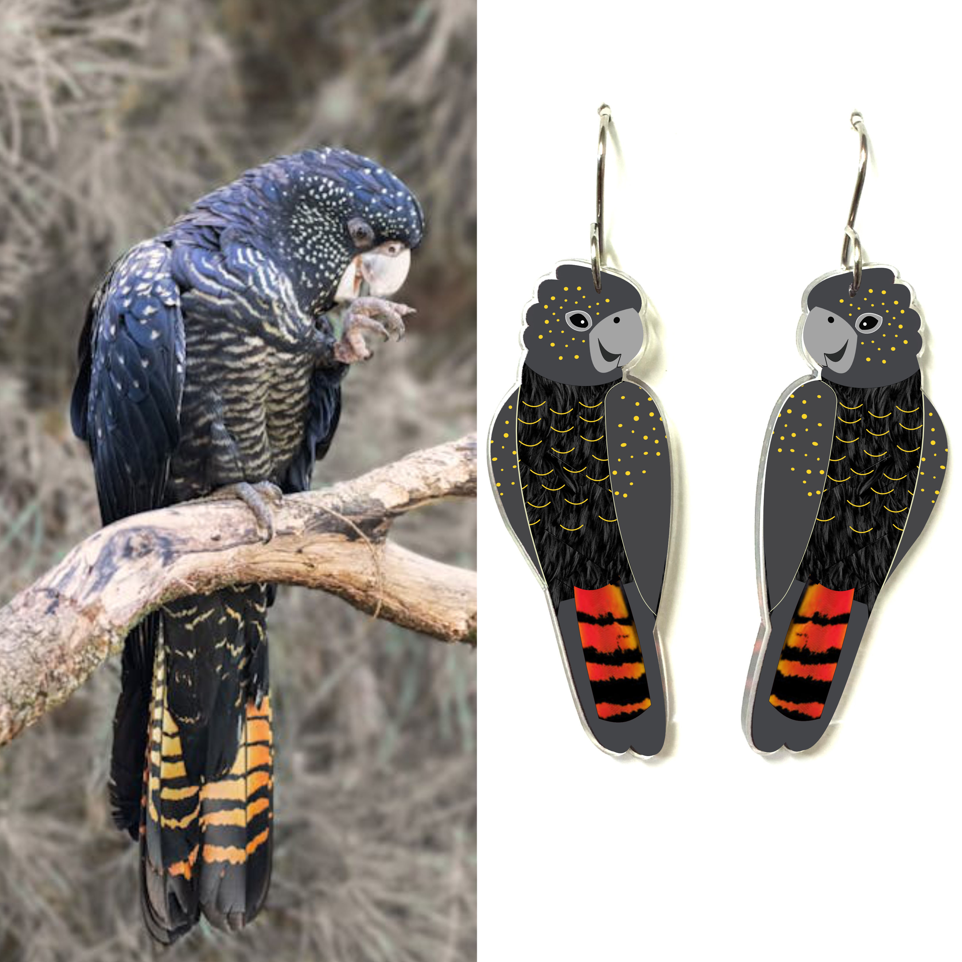 Black Cockatoo Earrings