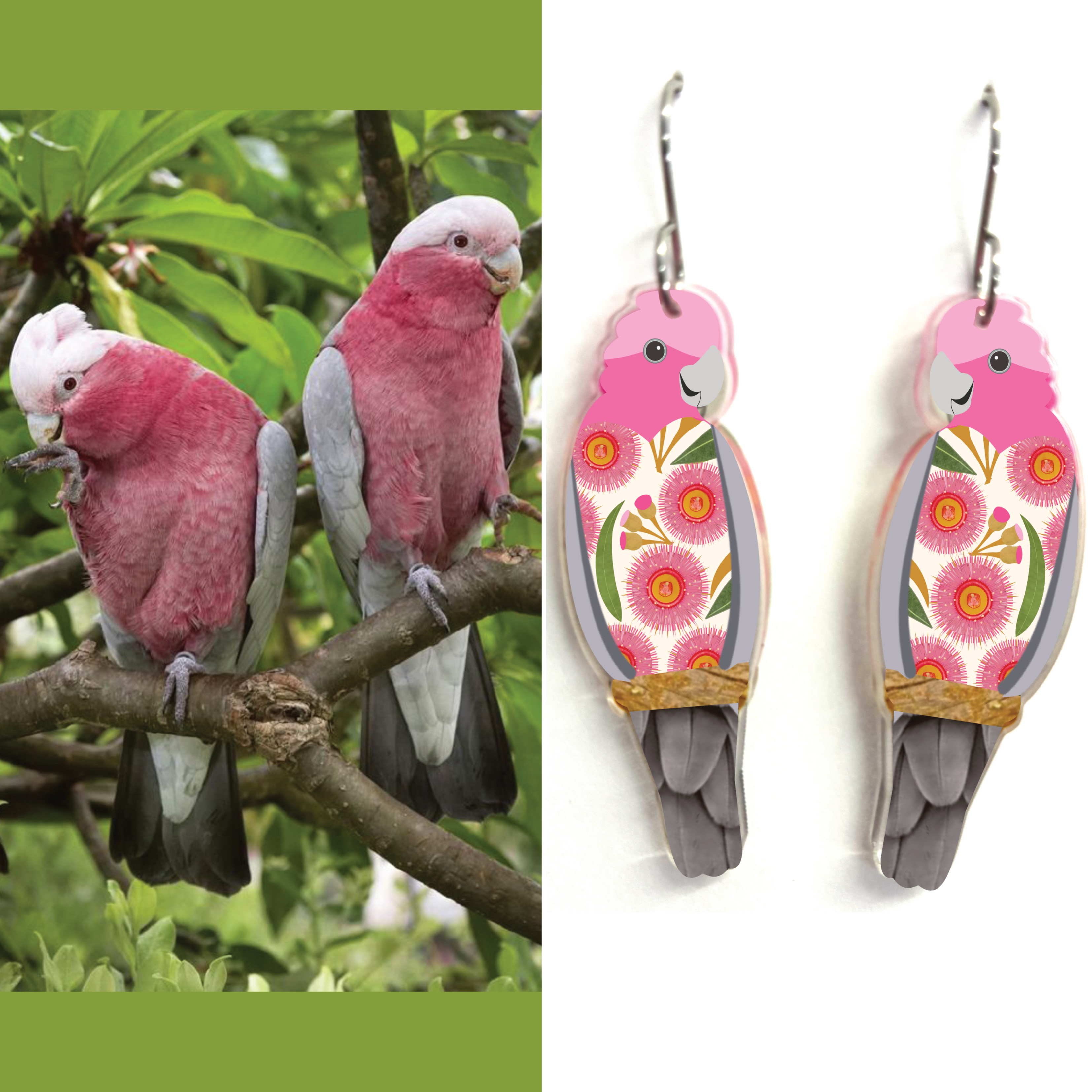 Galah Earrings