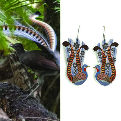 Superb Lyrebird Earrings