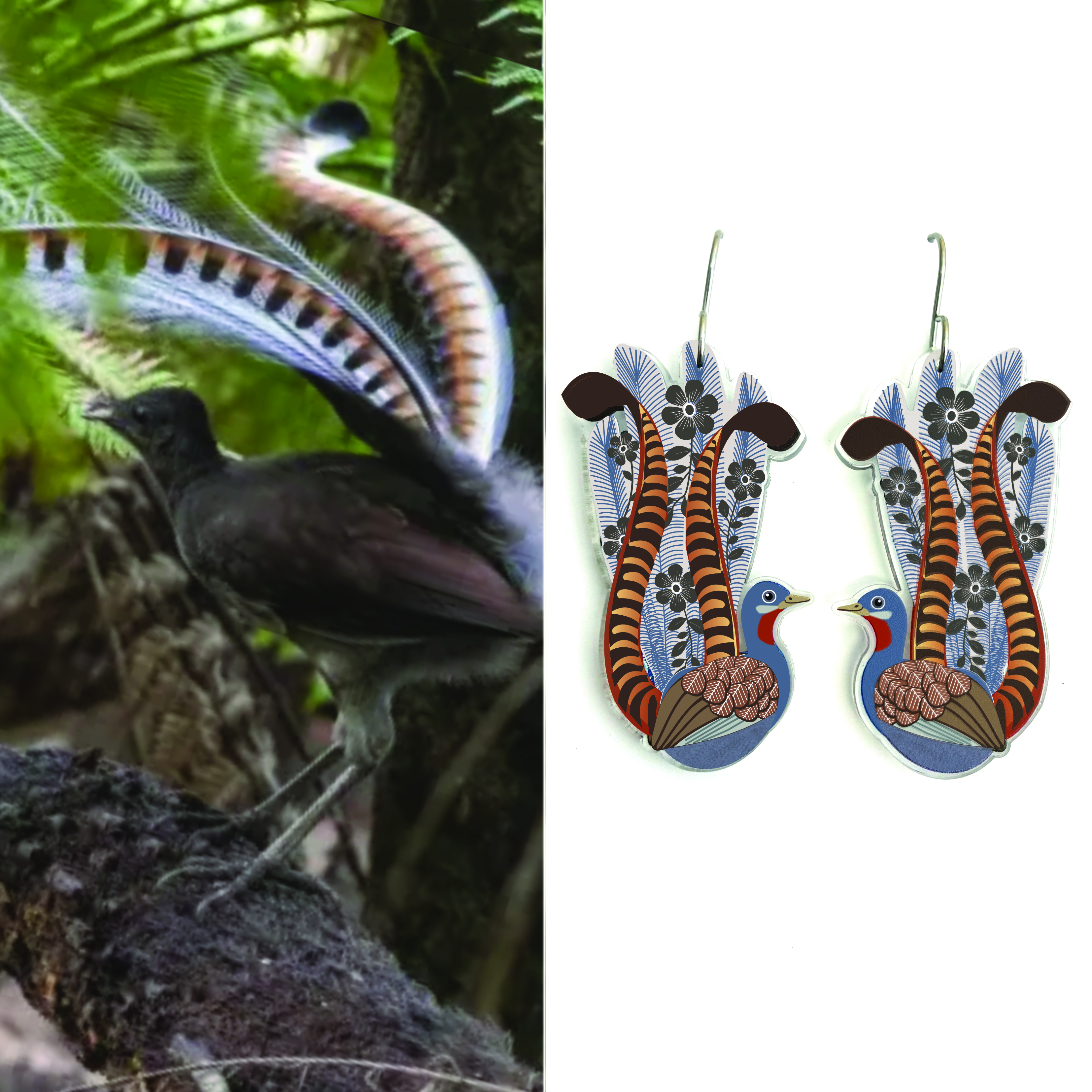 Superb Lyrebird Earrings