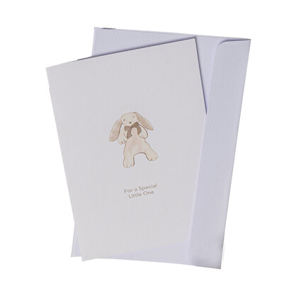 Gift Boxed Organic Koala Comforter - white/ grey