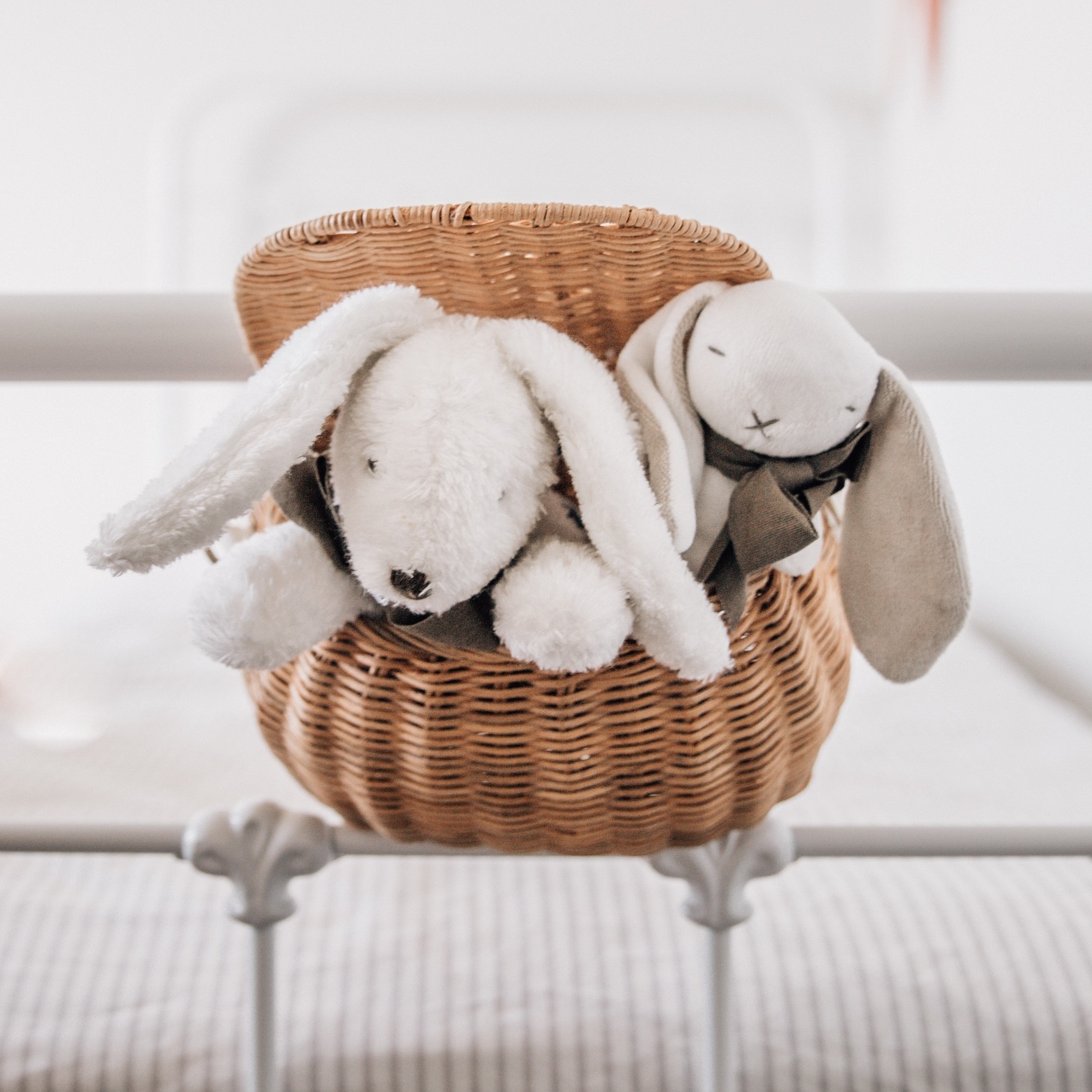 Gift Boxed Organic Fluffy Soft Toy White Bunny