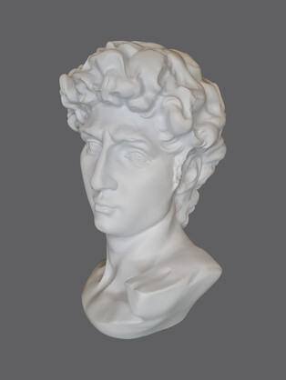 David Bust