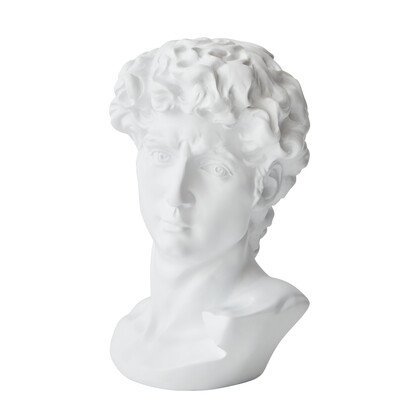 David Bust