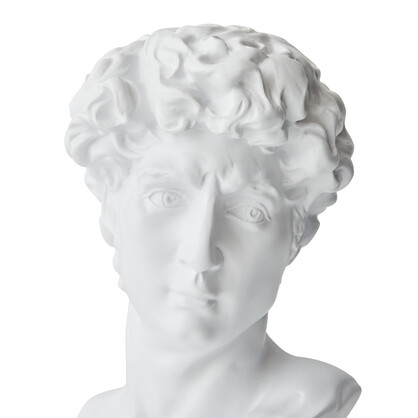 David Bust