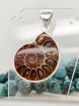 Kalash Gemstone Pendant - Ammonite 4