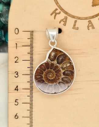 Kalash Gemstone Pendant - Ammonite 4