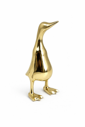 Duck Webbed Gold SML