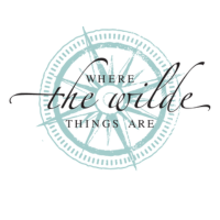 Wholesale Where The Wilde Things Are