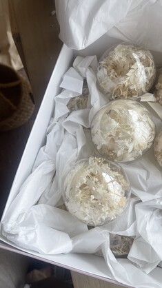Dried Flower Christmas Baubles