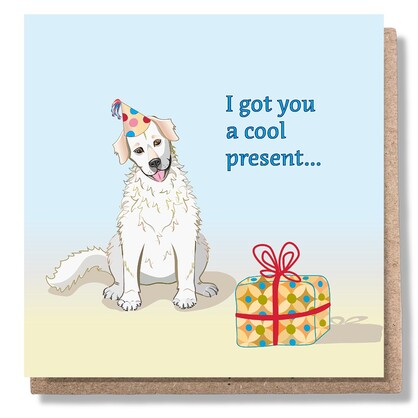 Cool Present Birthday Card