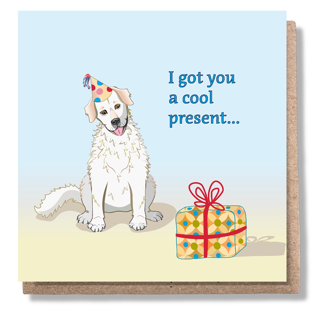 Cool Present Birthday Card