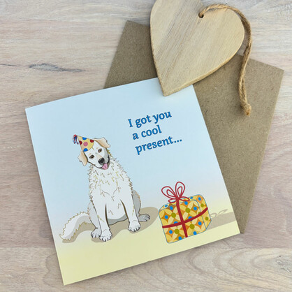 Cool Present Birthday Card