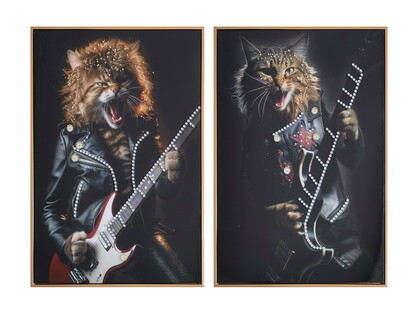 50x70cm Framed Art Rocking Cat with Gem Finish 2 Asstd