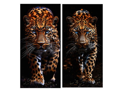 50x100cm Diamante Leopard Acrylic Art 2 Asstd