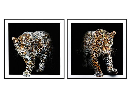 80x80cm Framed Art Diamante Silver Leopard AcrylicÊFinish
