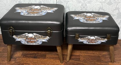 Storage Seats - Harley Davidson Eagle, Set of 2