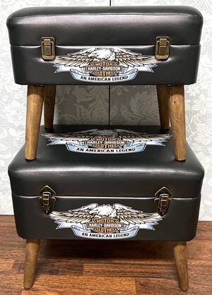 Storage Seats - Harley Davidson Eagle, Set of 2