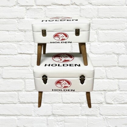 Storage Seats - Holden White, Set of 2