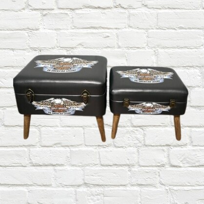 Storage Seats - Harley Davidson Eagle, Set of 2