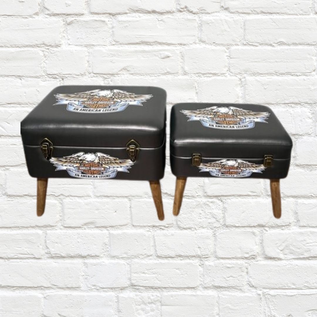 Storage Seats - Harley Davidson Eagle, Set of 2