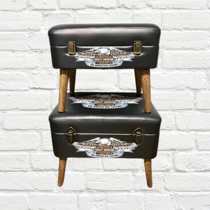 Storage Seats - Harley Davidson Eagle, Set of 2