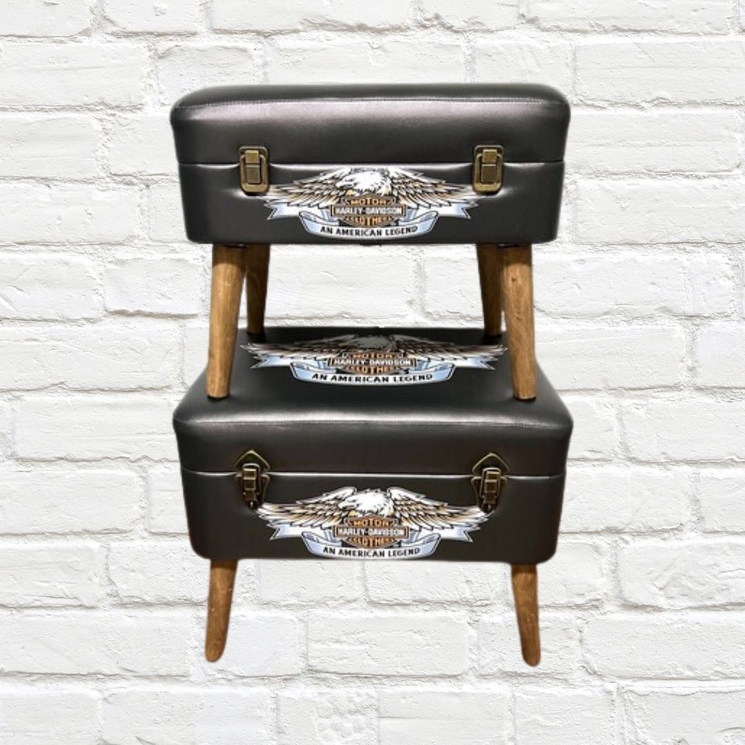 Storage Seats - Harley Davidson Eagle, Set of 2