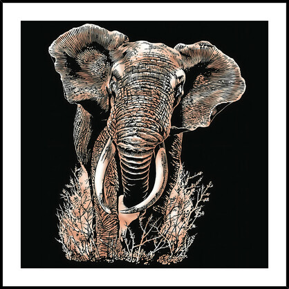 Home Gallery - Framed Print Elephant 80x80cm Tempered Glass