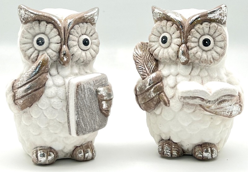 Professor Owls Holding Books Terracotta/Magnesia 9cm x 13cm 2 assorted