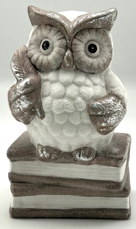 Professor Owl Standing on 3 Books Terracotta/Magnesia 10cm x 15cm