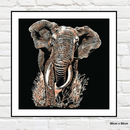 Home Gallery - Framed Print Elephant 80x80cm Tempered Glass