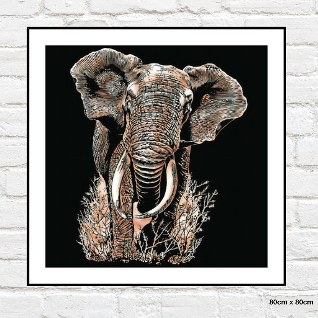 Home Gallery - Framed Print Elephant 80x80cm Tempered Glass