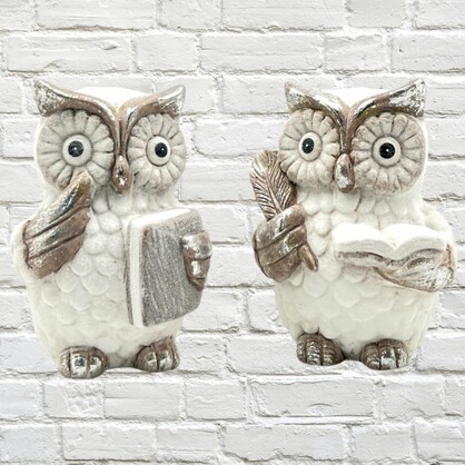 Professor Owls Holding Books Terracotta/Magnesia 9cm x 13cm 2 assorted
