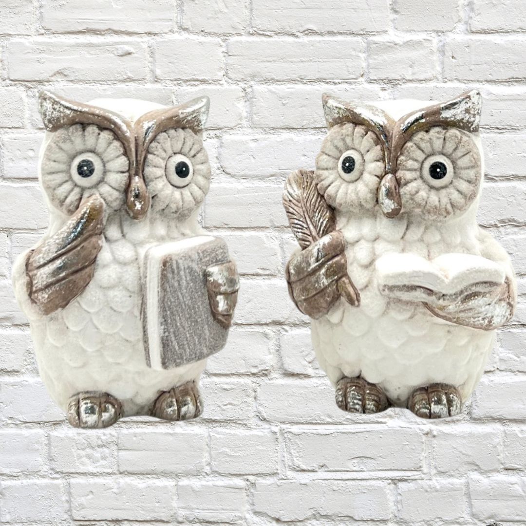 Professor Owls Holding Books Terracotta/Magnesia 9cm x 13cm 2 assorted