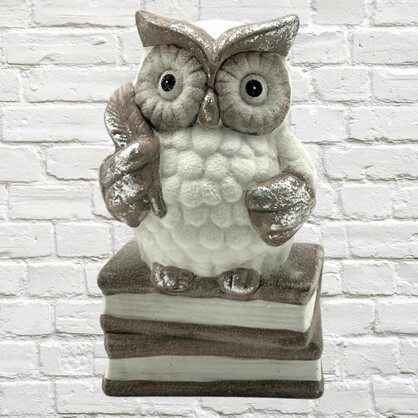 Professor Owl Standing on 3 Books Terracotta/Magnesia 10cm x 15cm