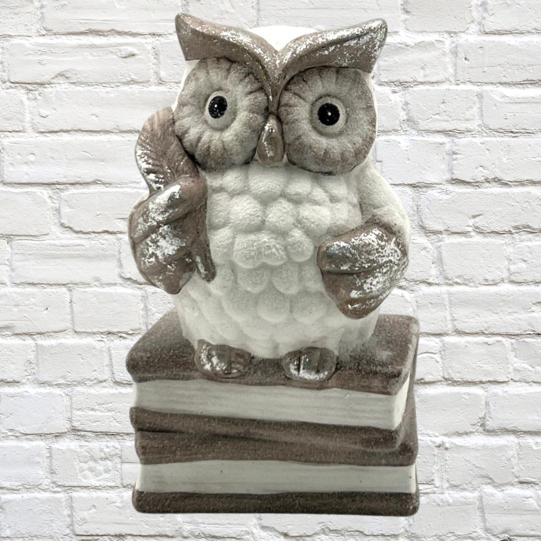 Professor Owl Standing on 3 Books Terracotta/Magnesia 10cm x 15cm